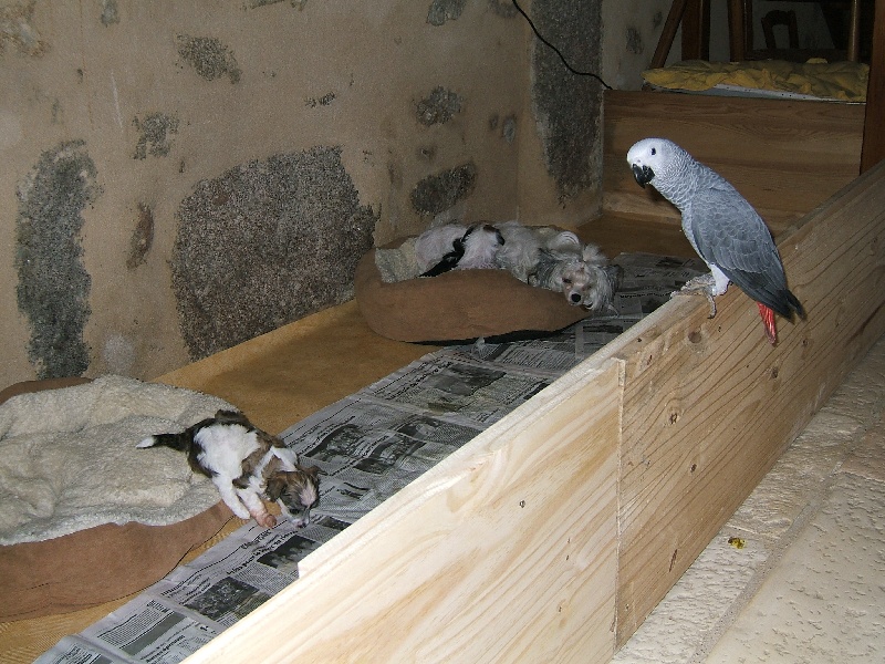 photos de famille en vrac